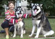 Андрій Зубрицький фотография #29 (источник - https://vk.com/id23655902)