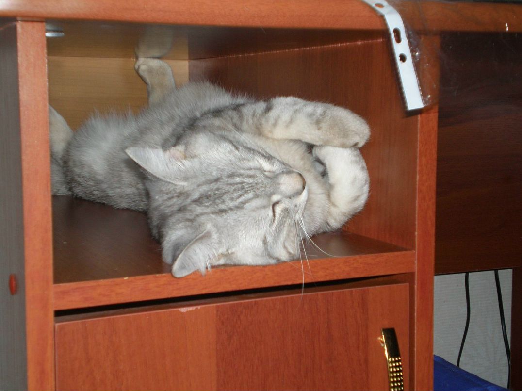 Кристина Кубышкина фотография #50