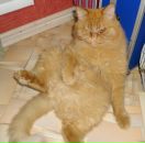 Фотография Ветер Ольги