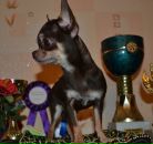 Фотография Виноградовой Елены