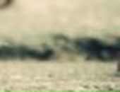 Ріта Бурачинська фотография #45 (источник - https://vk.com/id19294149)