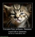 Фотография Коноваловой Евгении
