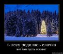 Анна Зулінська фотография #7 (источник - https://vk.com/id15083734)