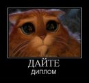 Андрій Туряниця фотография #28 (источник - https://vk.com/id26128624)