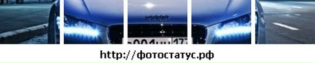 Віталік Мельник фотография #32 (источник - https://vk.com/id118450351)