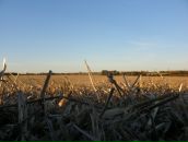 Елена Ли фотография #8 (источник - https://vk.com/id355235)