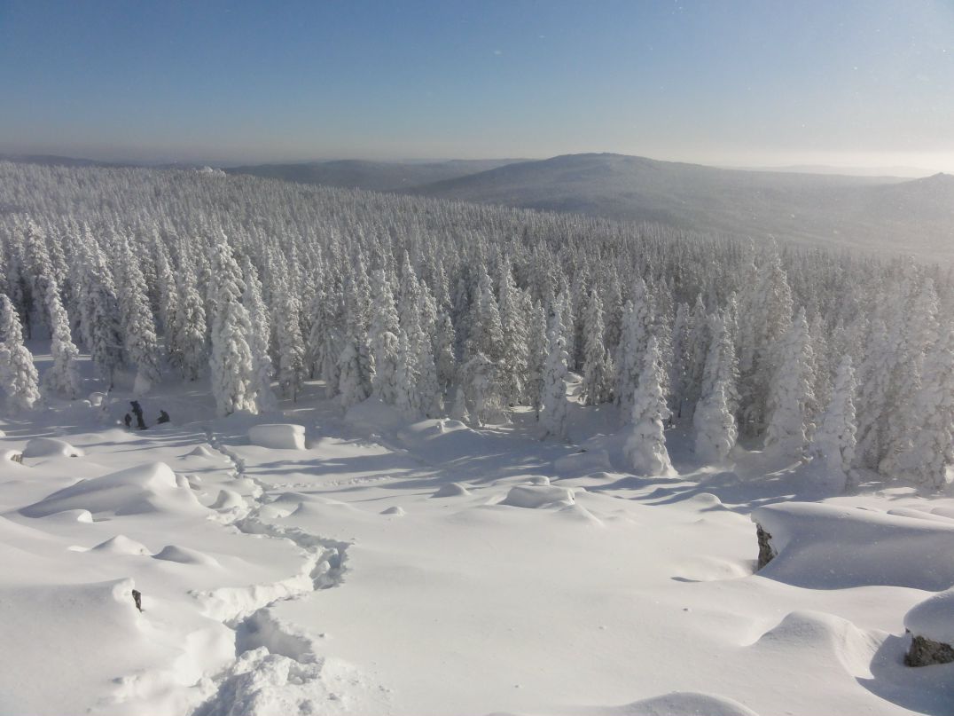 Дмитрий Трушков фотография #4