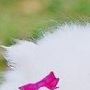 Вєталь Серйозний фотография #41 (источник - https://vk.com/id136859700)