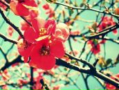 Фотография Крюковой Наталии