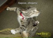 Тарік Вовчук фотография #4 (источник - https://vk.com/id57896617)