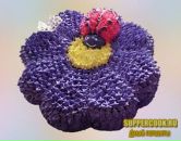 Фотография Соловьевы Юлии