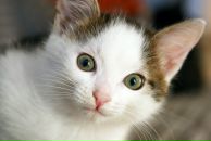 Фотография Епифановой Ольги