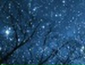 Наталія Черкасова фотография #41 (источник - https://vk.com/id84554972)