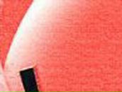 Сергей Кондратьев фотография #43 (источник - https://vk.com/id24834)