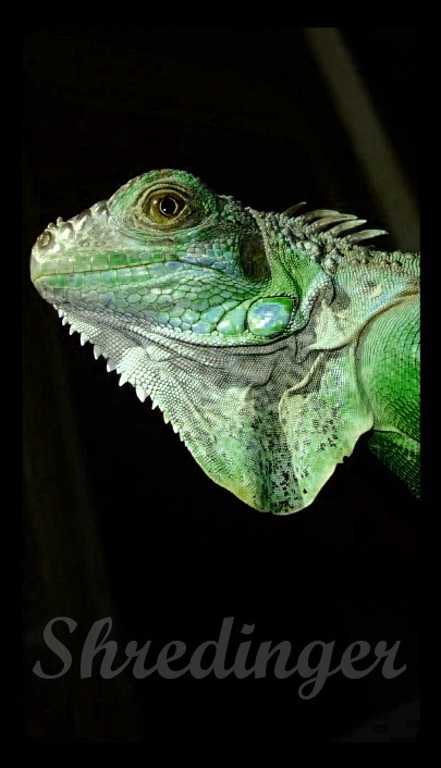 Антон Антонов фотография #21