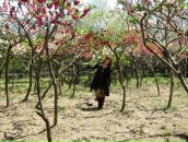 Фотография Кубышкиной Елены