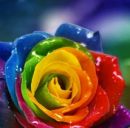 Наталія Гончук фотография #22 (источник - https://vk.com/id63031425)