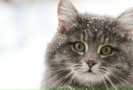 Фотография Кравчук Анны