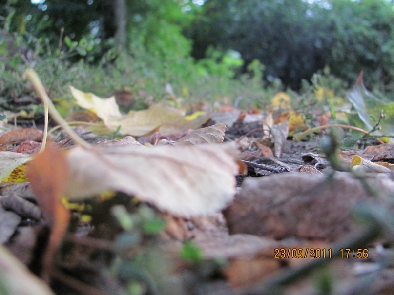 Ольга С фотография #15