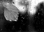 Фотография Баснер Вали