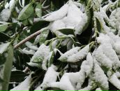 Иван Иванов фотография #37 (источник - https://vk.com/id423083)