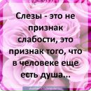 Софія Паньків фотография #10 (источник - https://vk.com/id161802319)