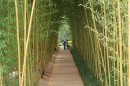 Міша Кульчицький фотография #35 (источник - https://vk.com/id5183731)