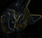 Иван Амельченко фотография #11 (источник - https://vk.com/id684343)