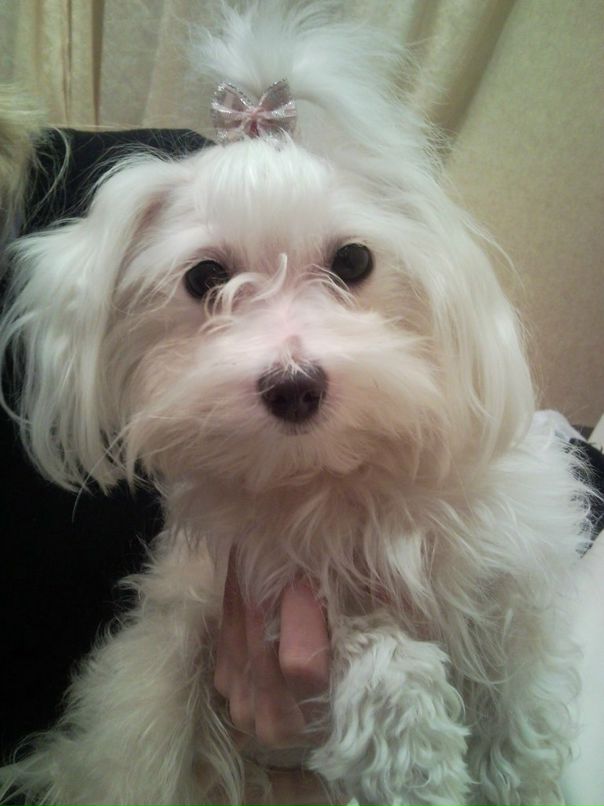 Ivan Domrachev фотография #35