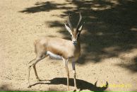 Іван Спас фотография #33 (источник - https://vk.com/id103149214)