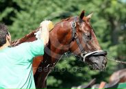 Drosselmeyer Favorite фотография #27 (источник - https://vk.com/id86315511)