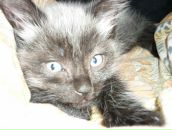 Фотография Крутицкой Анны