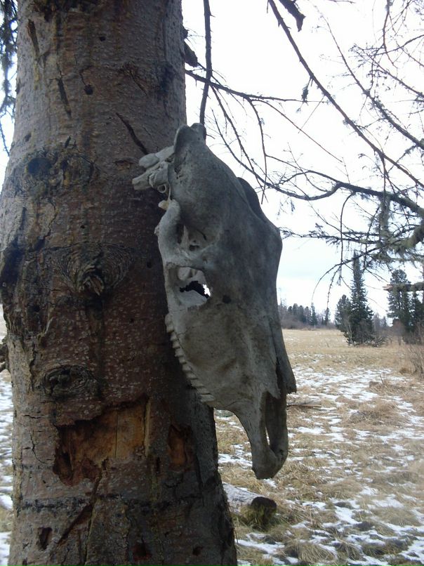 Даниил Железняков фотография #46