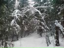 Рома Фамін фотография #25 (источник - https://vk.com/id55941362)