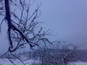 Іван Кобрин фотография #30 (источник - https://vk.com/id82689749)