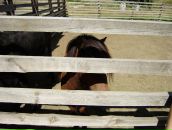 Ліна Александрова фотография #48 (источник - https://vk.com/id67032521)