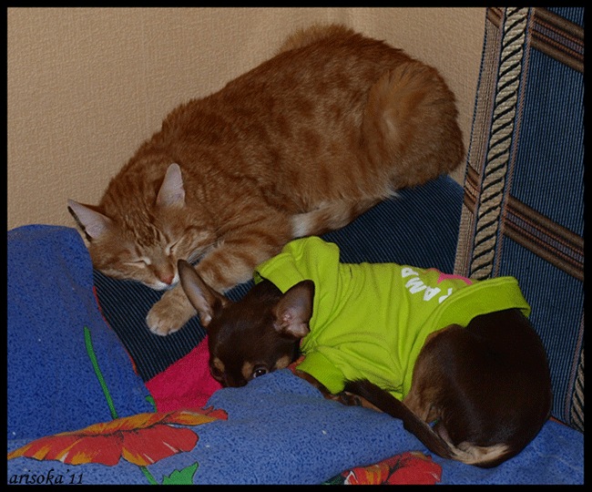 Ольга Ларина фотография #38