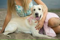 Соня Сердюк фотография #24 (источник - https://vk.com/id794822)