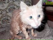 Фотография Кожуховой Юли