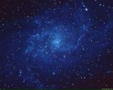 Фотография Ильичёвой Елены