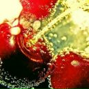 Александр Михеев фотография #40 (источник - https://vk.com/id2989006)