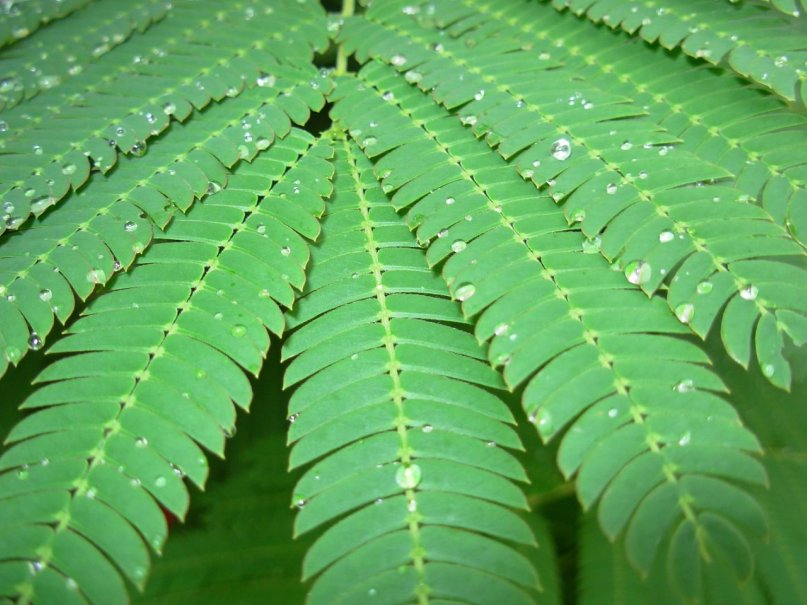 Денис Ларин фотография #47