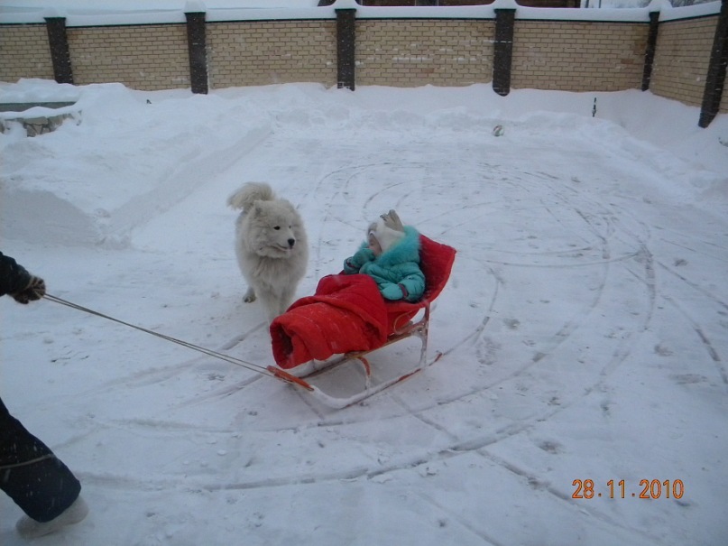 Светлана Щербакова фотография #28