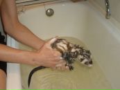 Дима Сергеевич фотография #19 (источник - https://vk.com/id1479155)