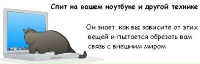 Алекс Сам фотография #41 (источник - https://vk.com/id1064225)