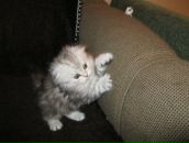 Фотография Лариной Оксаны