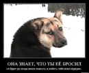 Аніка Селіна фотография #20 (источник - https://vk.com/id43182635)