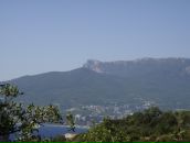 Иван Науменко фотография #23 (источник - https://vk.com/id1709245)