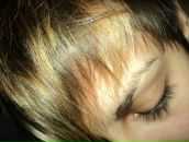 Фотография Кошки Дианы