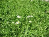 Наталія Муціківська фотография #38 (источник - https://vk.com/id8900795)